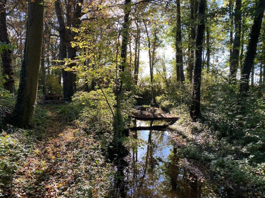 Wassermuehle Triglitz - Alleinlage Fuer Retreats, Workshops, Family & Friends Exteriér fotografie